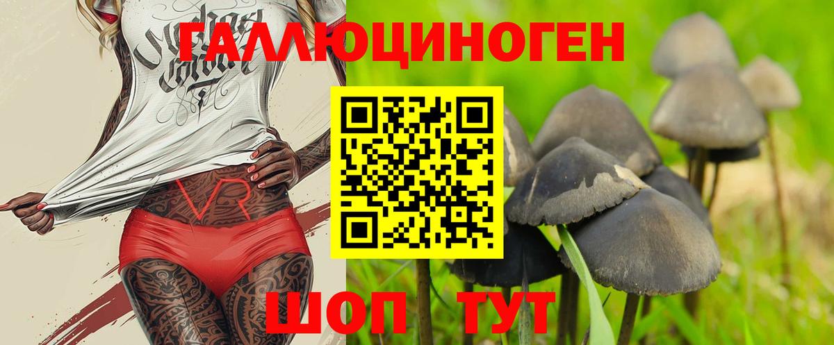 Псилоцибиновые грибы мицелий  Вход с VPN  Ессентуки 